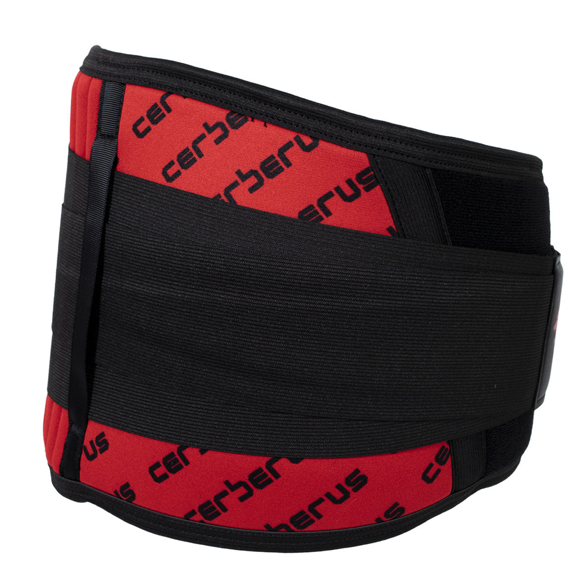 Cintura Lombare Magnetica Dr. Segnini – Neoprene E Nylon Per Supporto Antidolorifico (Girovita, Fitness, Uomo/Donna)
